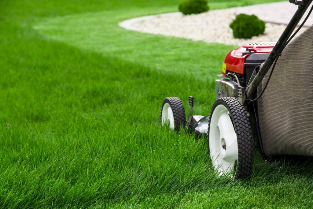 Presupuesto mantenimiento de jardines Valencia